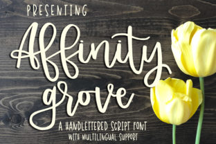 Affinity Grove: A Script Font for Elegant Branding and Creative Expression