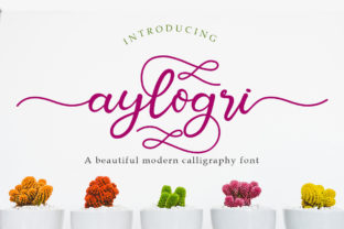 Aylogri: The Script Font That Elevates Your Campaign’s Romance