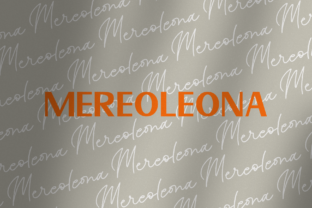 Mereoleona Duo: A Sans Serif Font for Editorial Elegance