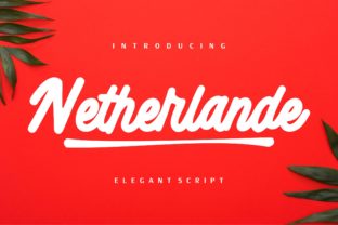 Netherlande Script Font: A Playful Elegance for Designers