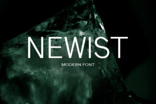 Newist: A Playful Sans Serif Font for Dynamic Campaigns