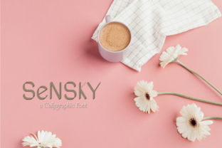 Sensky: A Modern Sans Serif Font for Editorial Design